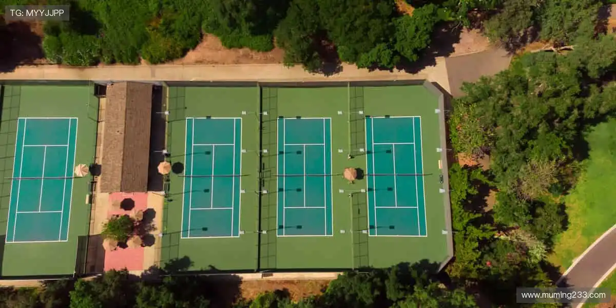 点击即看,让激情填满每个屏幕!🎥✨